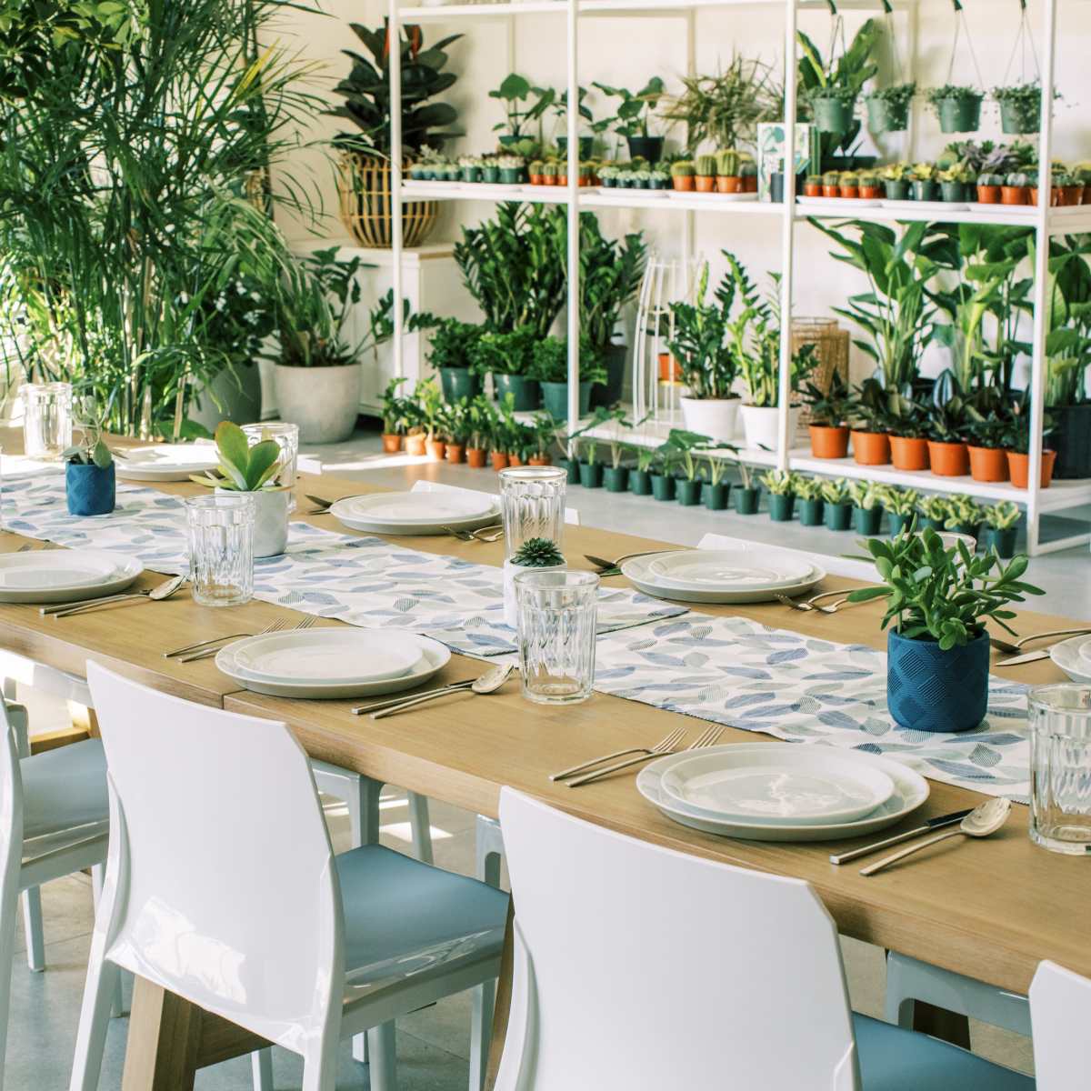 A long wooden dining table is set with plates and glasses in a brightly lit space filled with various potted plants.