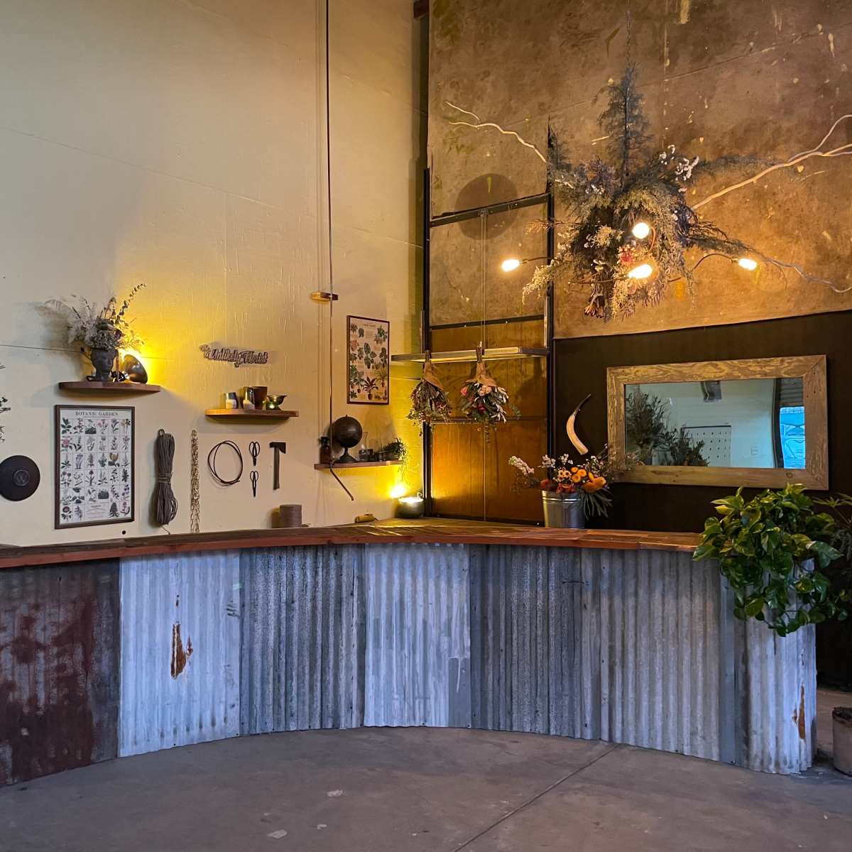 A curved reception desk made of corrugated metal and wood, surrounded by decorative plants and wall-mounted art in a well-lit, minimalist space.
