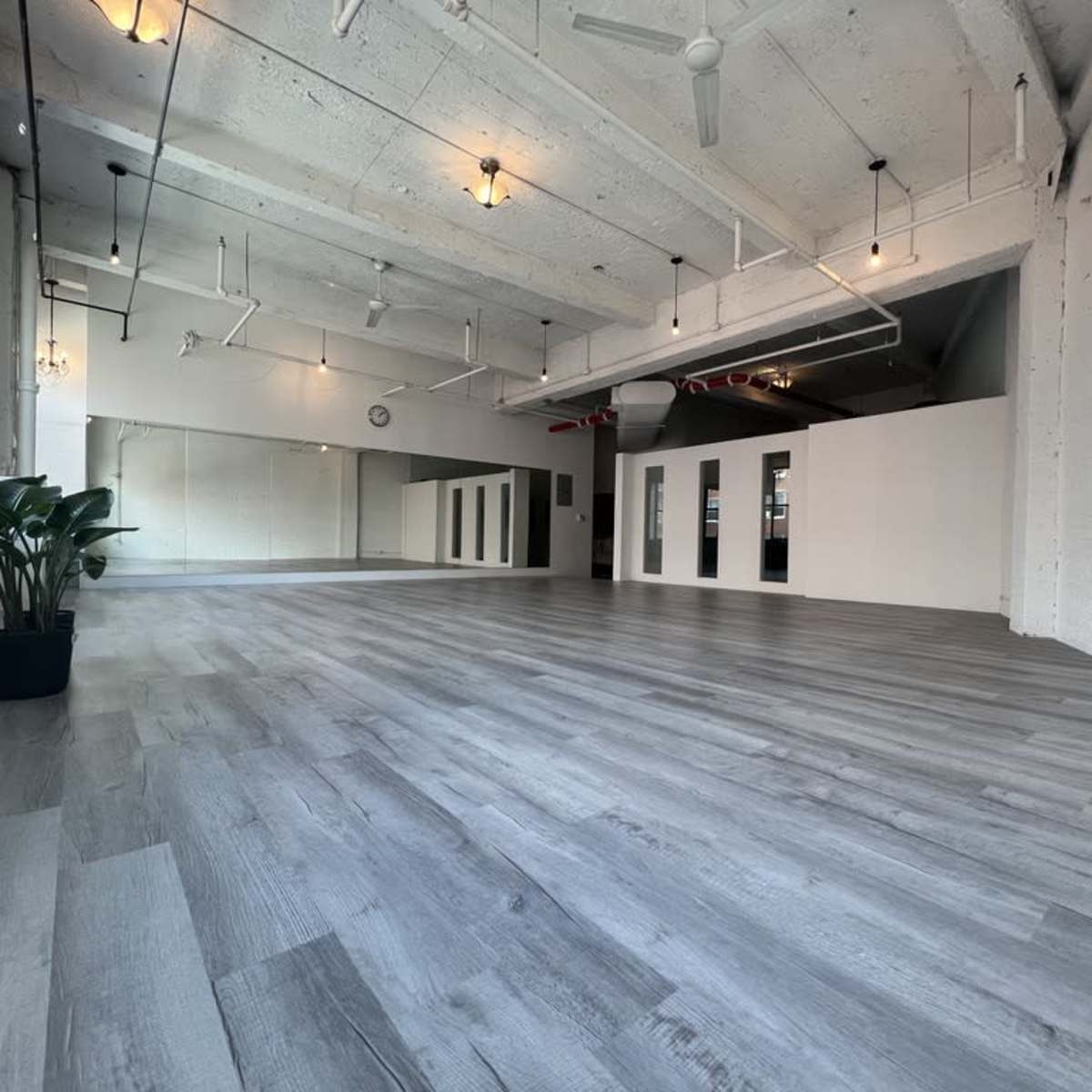 A spacious, empty studio with gray flooring, white walls, large windows, and a potted plant in one corner.