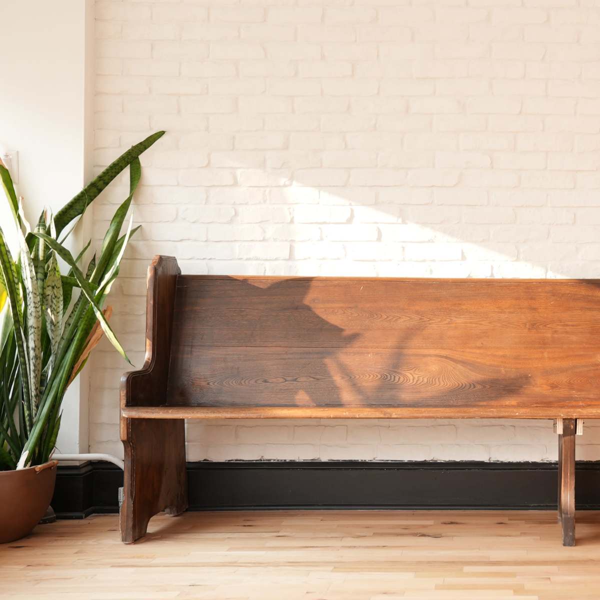 A wooden bench is positioned against a white brick wall with sunlight casting a shadow on it.