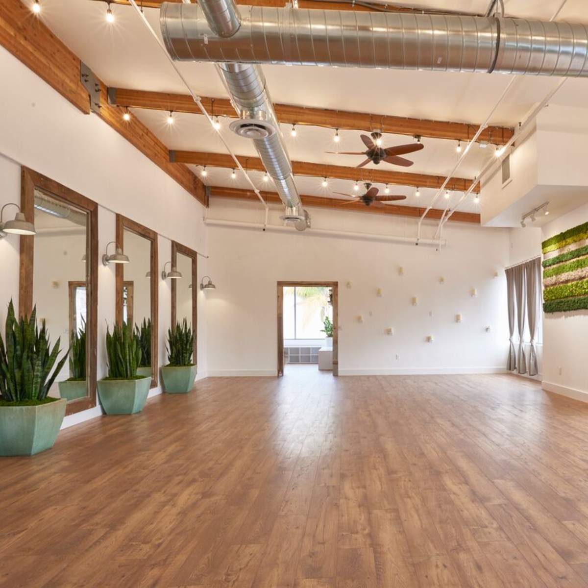 A spacious and brightly lit indoor studio with wooden floors, large windows, and greenery on the walls.