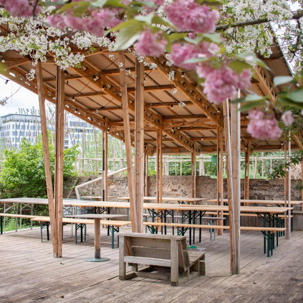 A wooden pavilion with several long tables and benches is surrounded by greenery and flowering trees.