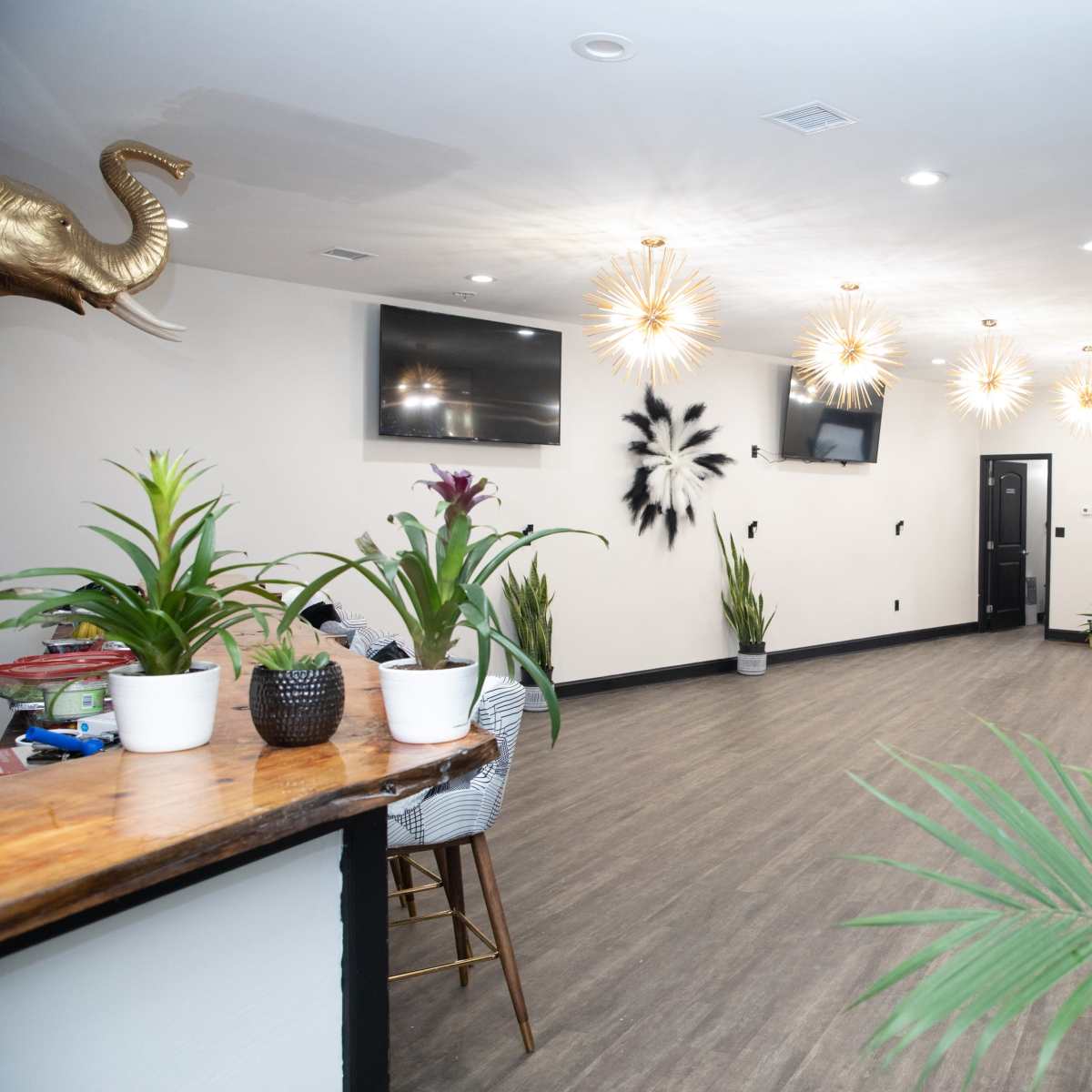 A modern interior space featuring a long wooden counter, several potted plants, and decorative light fixtures along a well-lit wall.