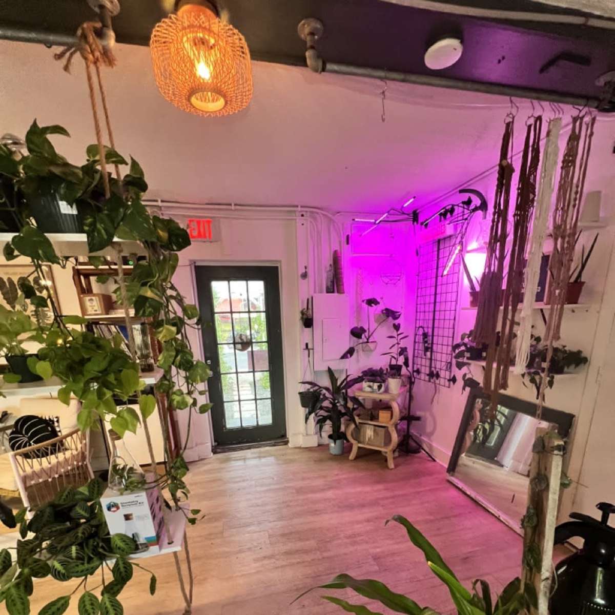 Beachfront Plant Shop & Outdoor Space in Flagler Beach Image in Flagler Beach, Flagler Beach, FL
