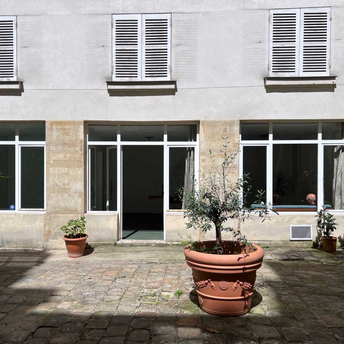 A courtyard with plants in pots, flanked by large windows of a building featuring shutters.