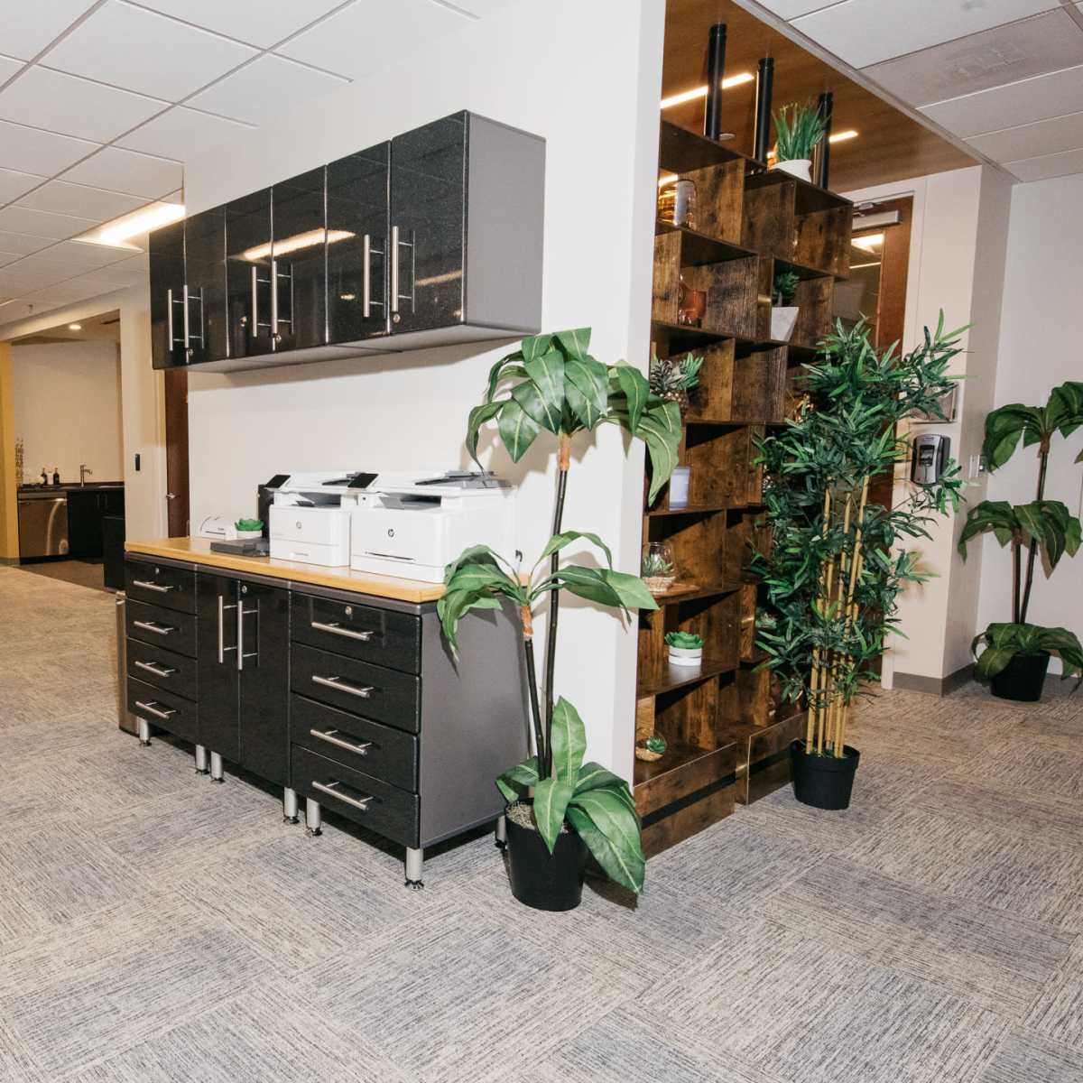 An office space featuring a printer station next to a shelf with plants, along with a green screen area in the background.
