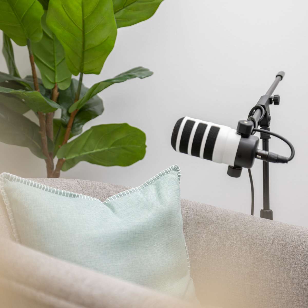 A microphone is positioned on a stand next to a potted plant and a light-colored sofa with a decorative pillow.