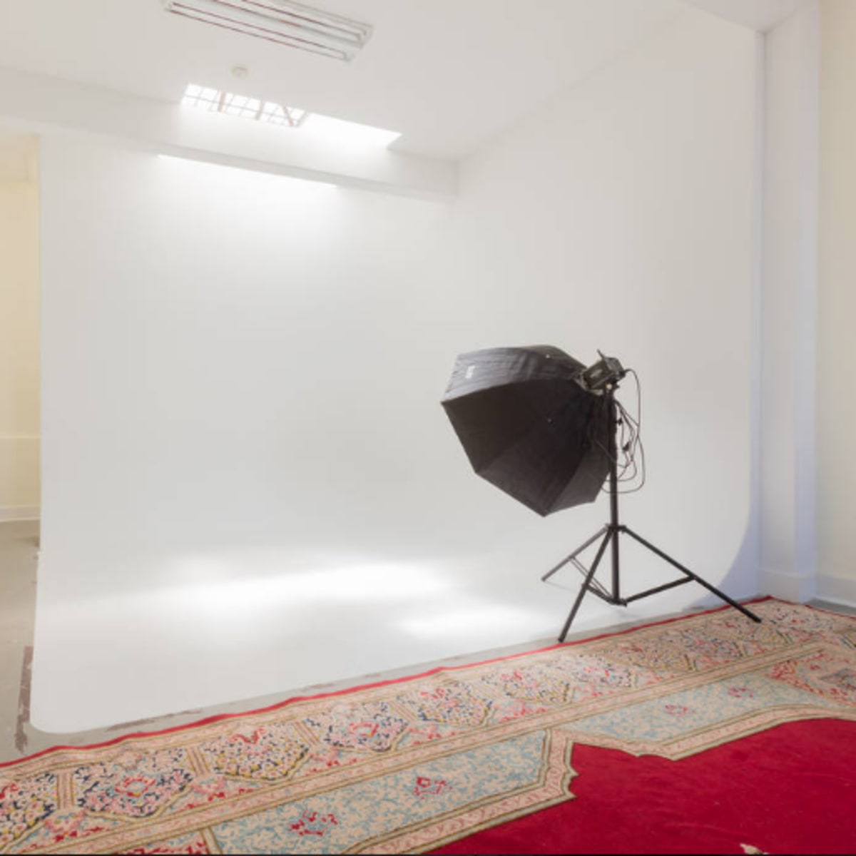 A photography studio with a white backdrop, a softbox light on a stand, and a patterned rug on the floor.
