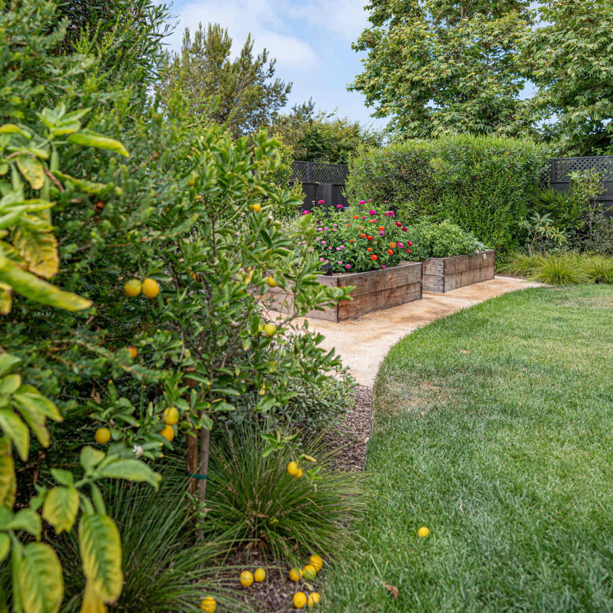 A well-maintained garden path leads through lush greenery and flowering plants, with raised garden beds visible in the background.