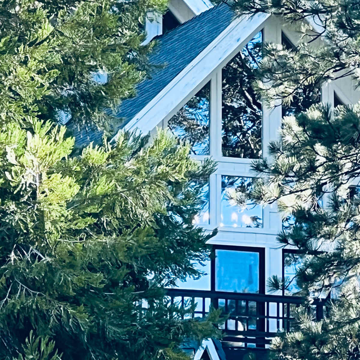 A house with large windows is partially obscured by trees.