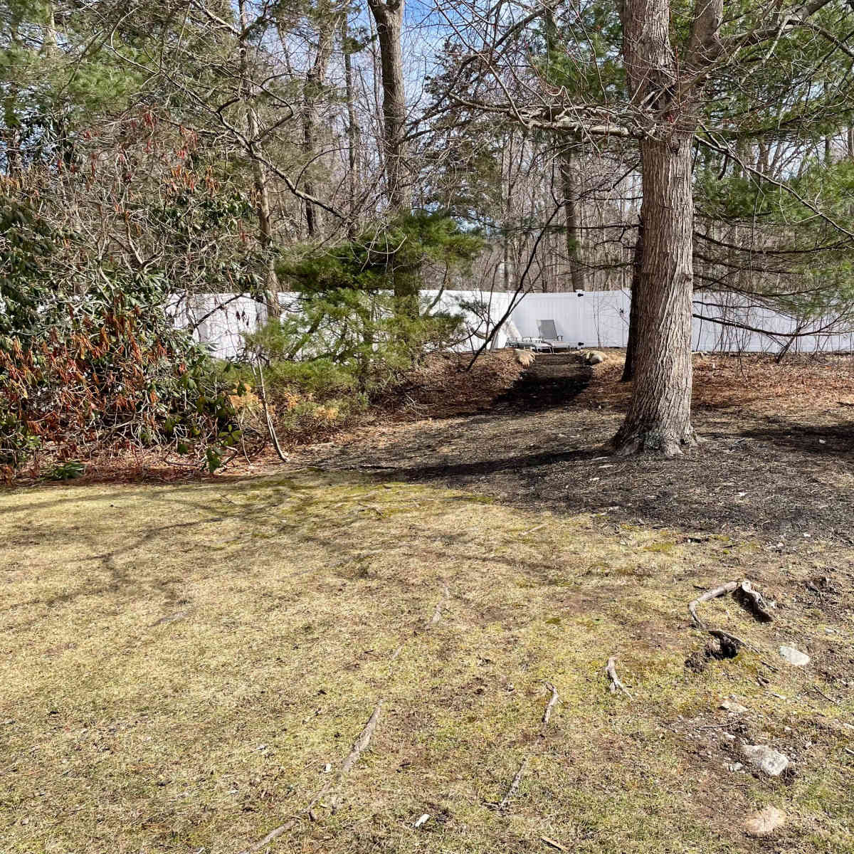 A clearing in a wooded area features a tree in the foreground, with a manicured lawn and a white fence in the background.