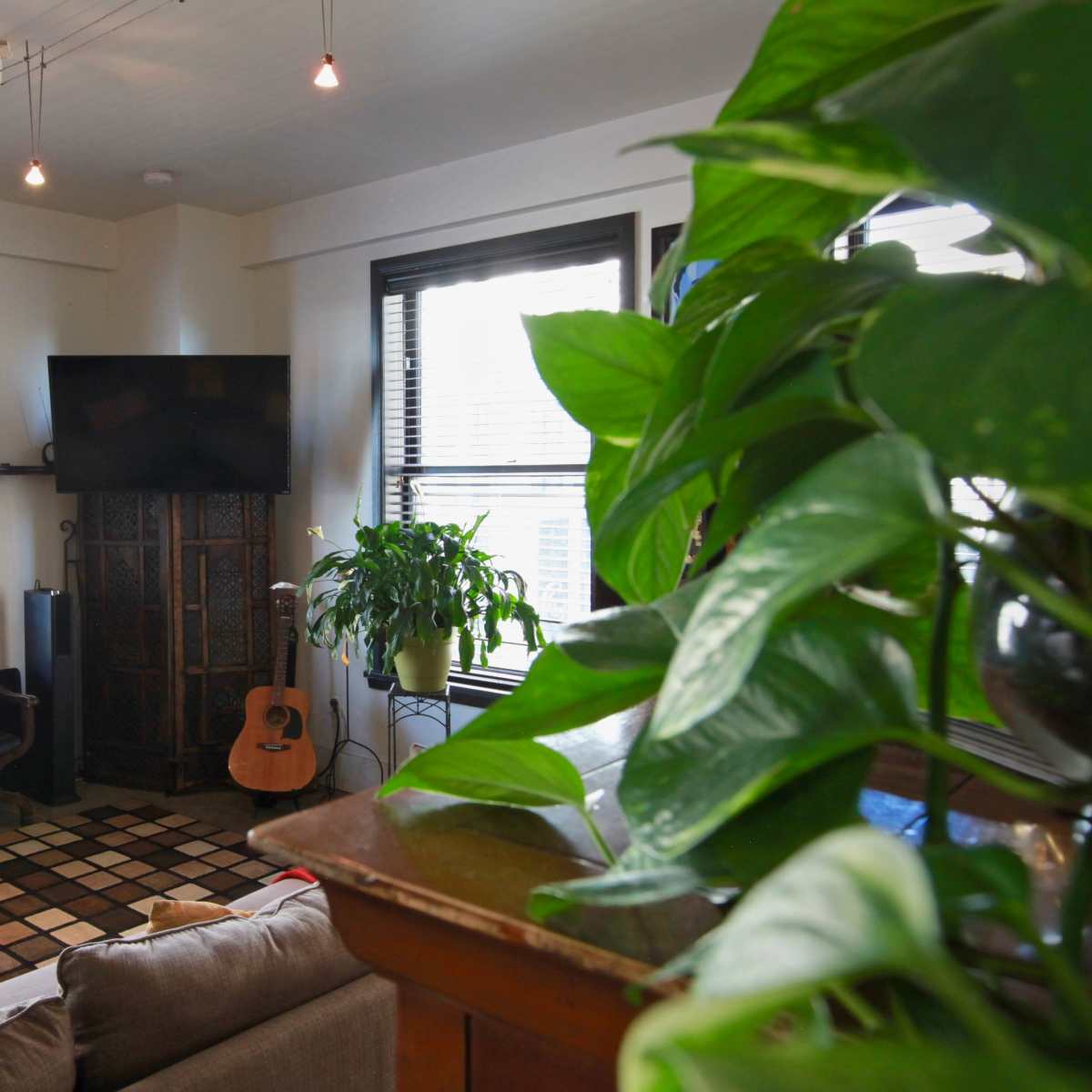 A cozy living room features a sofa, a wooden coffee table, an acoustic guitar, and large windows with potted plants.