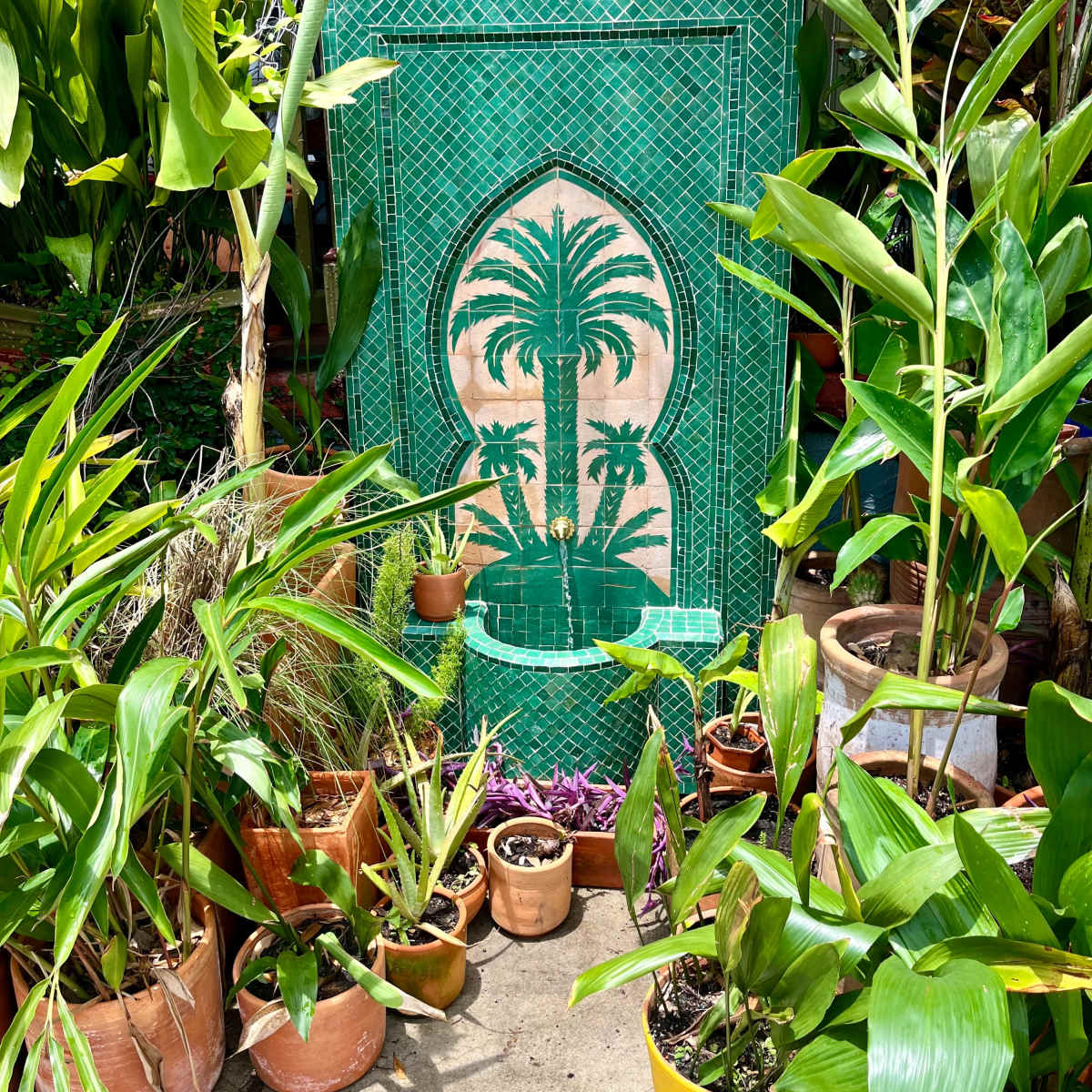 Tropical Jungle Backyard - Indoor/Outdoor Jungalow in New Orleans Image in St. Claude, New Orleans, LA