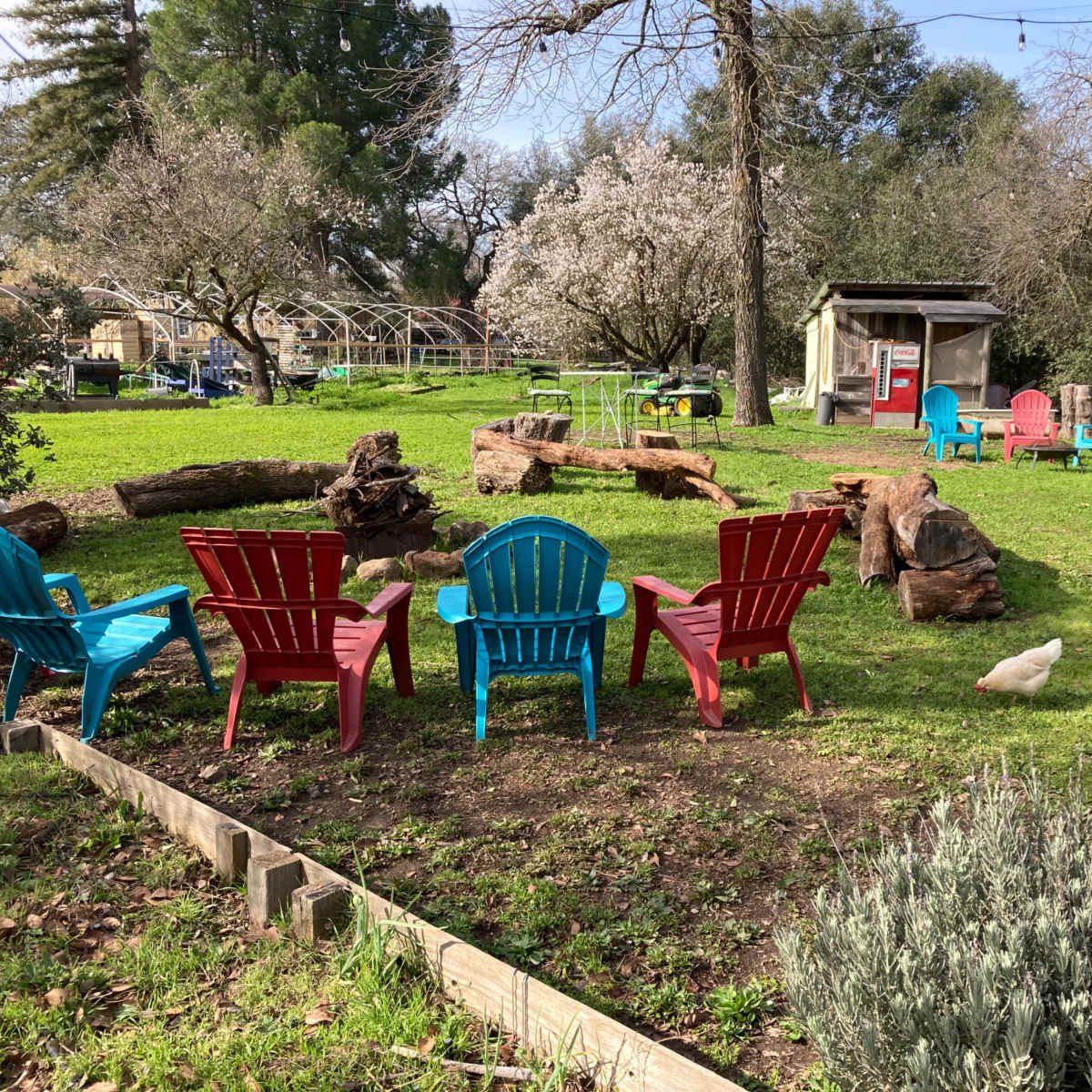 Cozy Fireside Experience in Citrus Heights Image in Citrus Heights, Citrus Heights, CA
