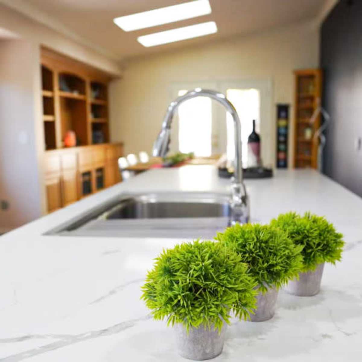 A kitchen features a countertop with three small potted plants and a stainless steel sink, illuminated by natural light from a window.