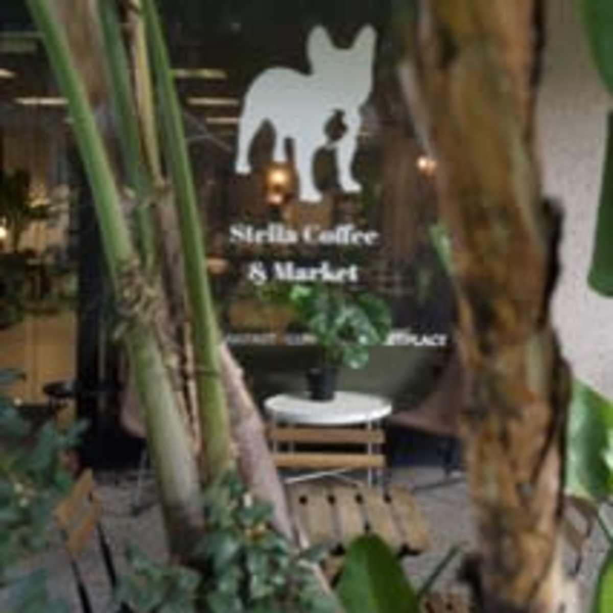 The storefront of Stella Coffee & Market, with a white silhouette of a dog prominently displayed on the window, framed by indoor plants.