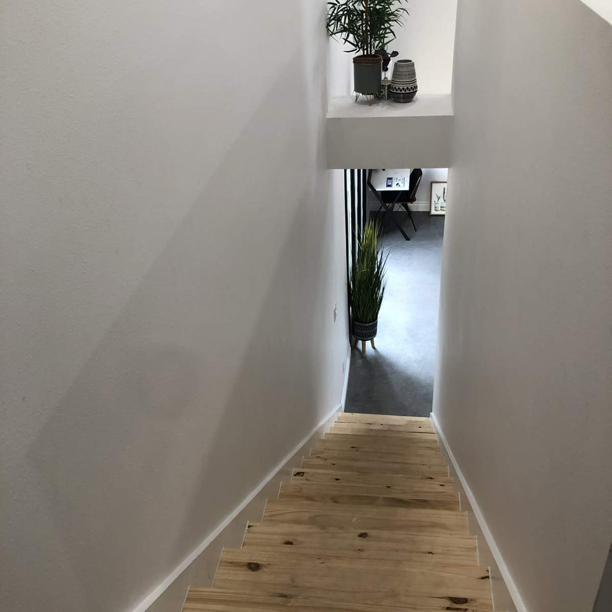 A wooden staircase leading down to a minimalist room with indoor plants and a desk.