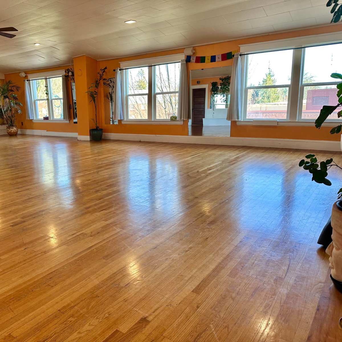 A spacious, light-filled room with a wooden floor and large windows, featuring plants and colorful wall decorations.