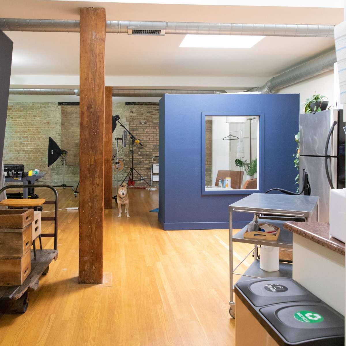 An open studio space with wooden flooring, a kitchen area, and a blue partition in the middle, featuring a dog standing nearby.