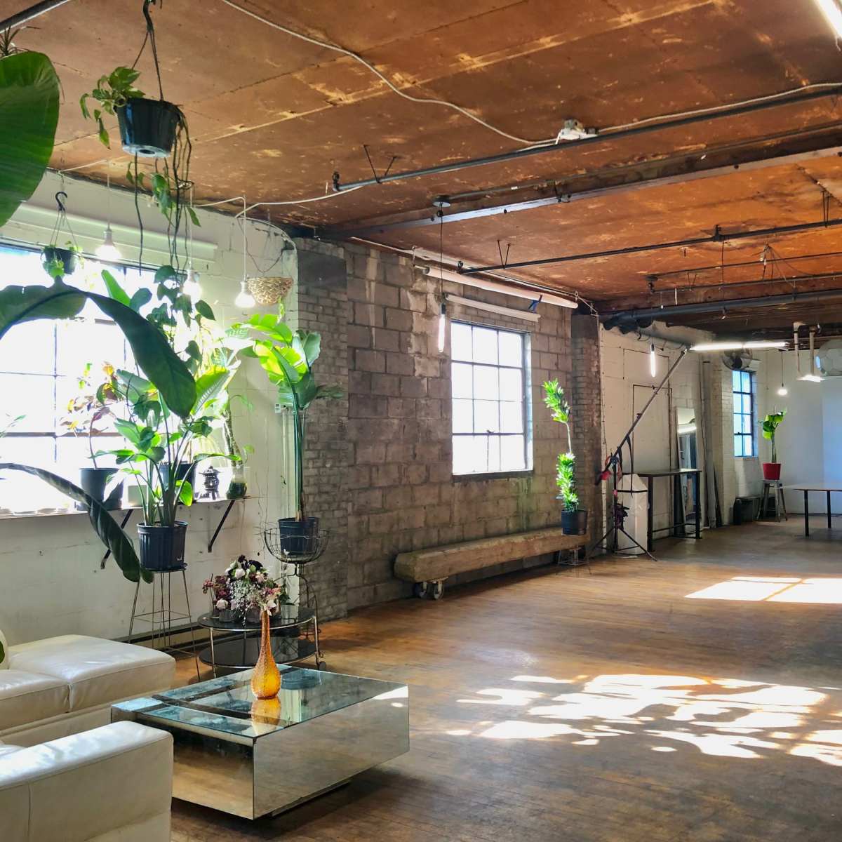 Diverse Multi-Use Studio with Massive Rooftop Downtown in Toronto Image in Downtown Toronto, Toronto, ON