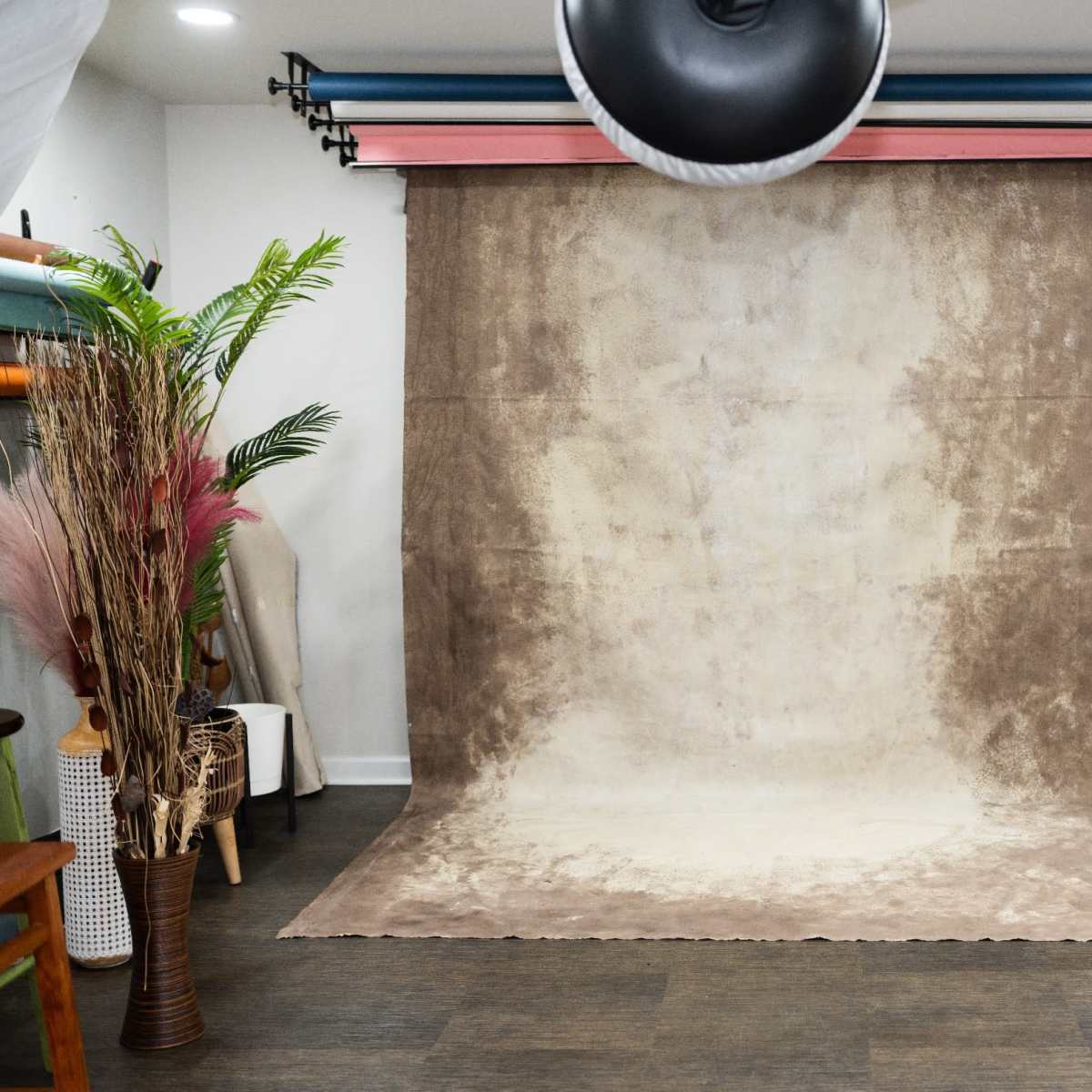 A photography studio with a textured brown backdrop, lighting equipment, and a few decorative plants.