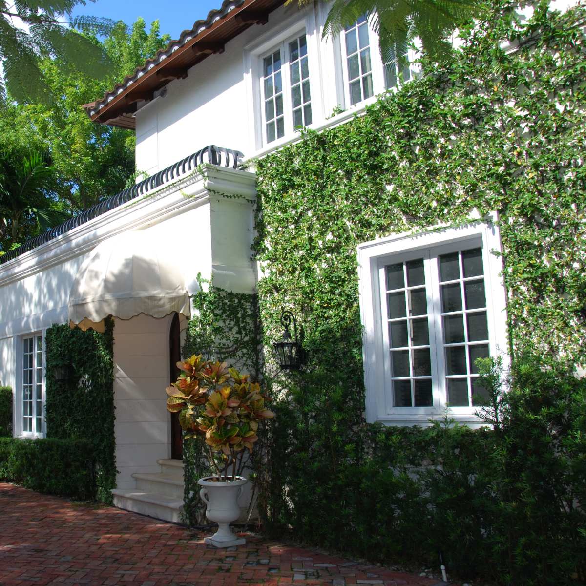 A house with a white facade and large windows is partially covered in lush green vines, situated beside a brick pathway.