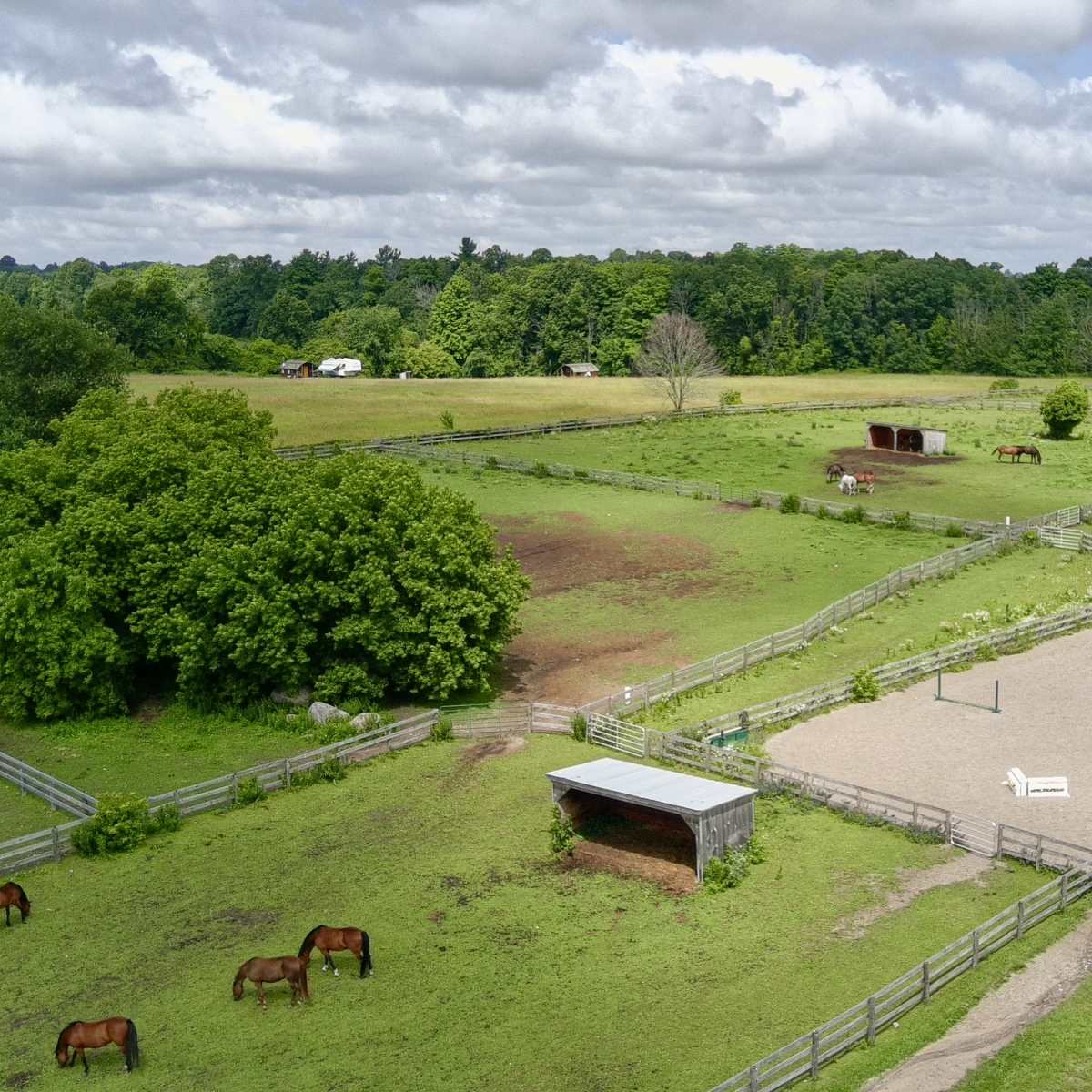 Rustic Bank Barn in the Heart of Southern Ontario in Gilford Image in Bradford West Gwillimbury, Gilford, ON