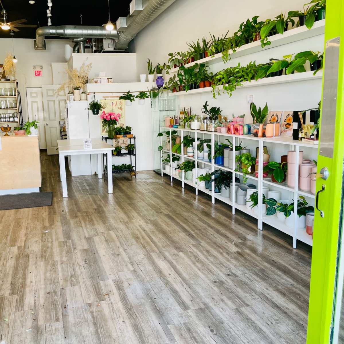 A brightly lit shop interior with wooden flooring, featuring shelves filled with various plants and decorative items, along with a small display area near the entrance.