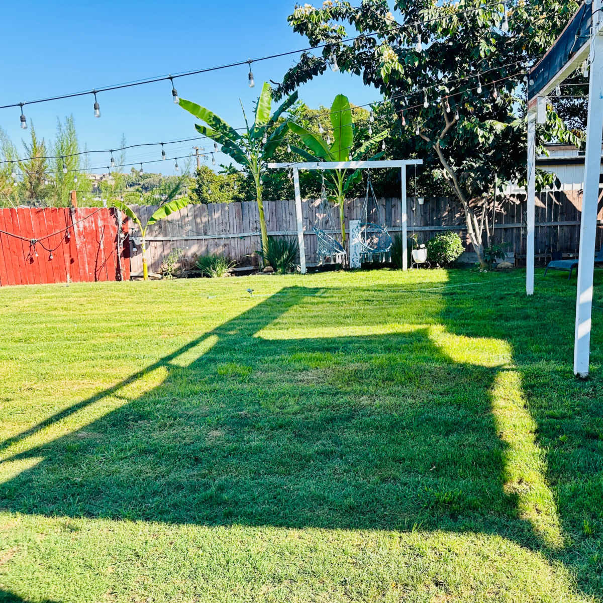 A backyard lawn with a picnic table, chairs, and overhead string lights, bordered by a wooden fence and greenery.