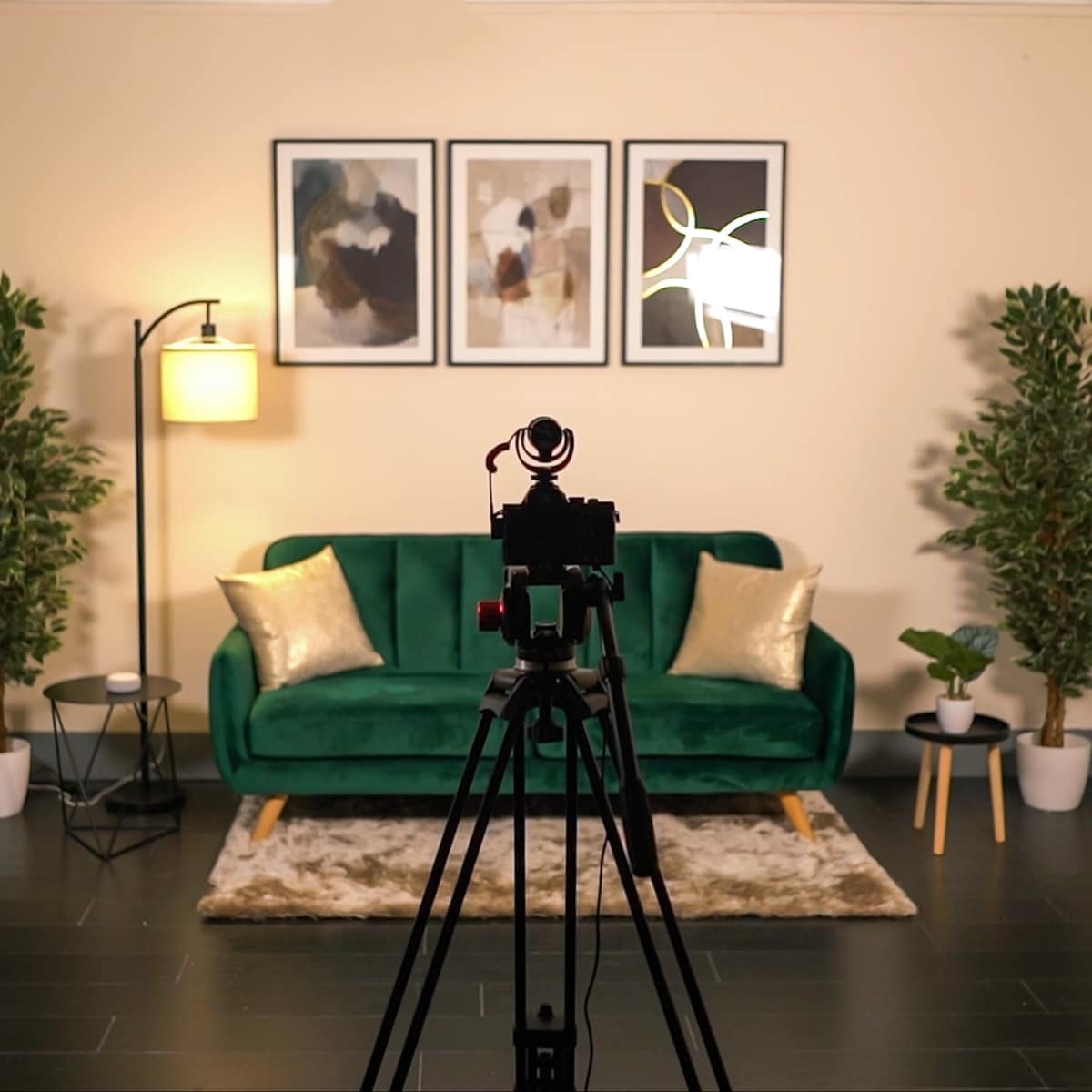 A neatly arranged studio setup featuring a green sofa, two potted plants, a lamp, and a camera mounted on a tripod facing a decorated wall.