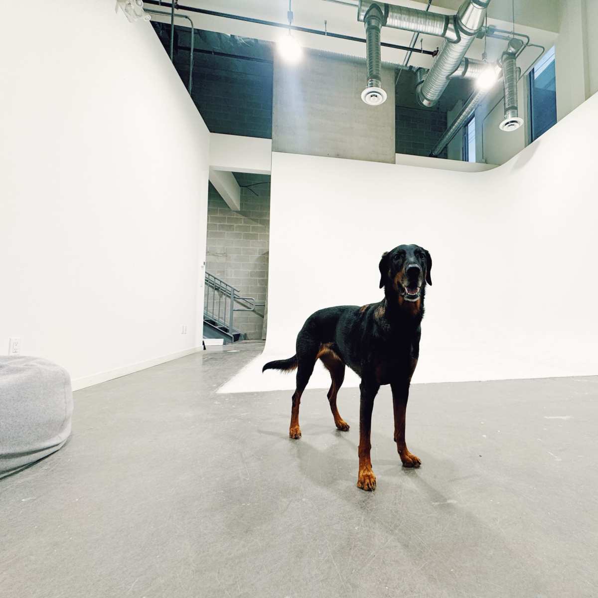 Big and Open, Stylish Industrial Studio in Vancouver Image in Central Vancouver, Vancouver, BC