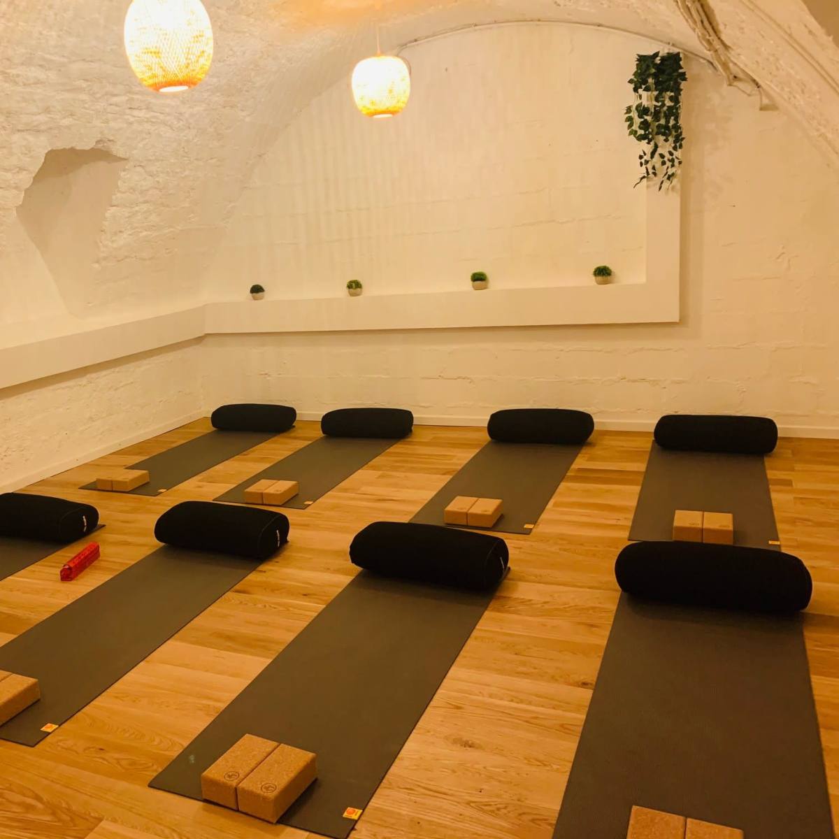 A yoga studio with several yoga mats arranged in neat rows, each accompanied by blocks and bolsters, under soft lighting.