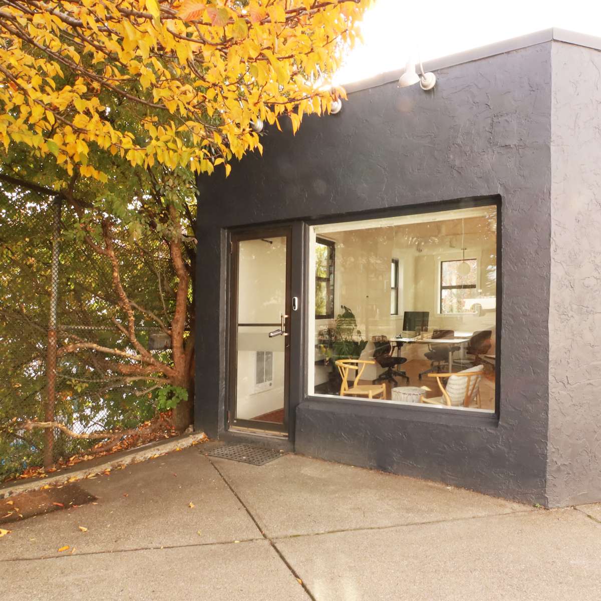 A modern building with a textured black exterior features large windows and is partially surrounded by trees with autumn leaves.