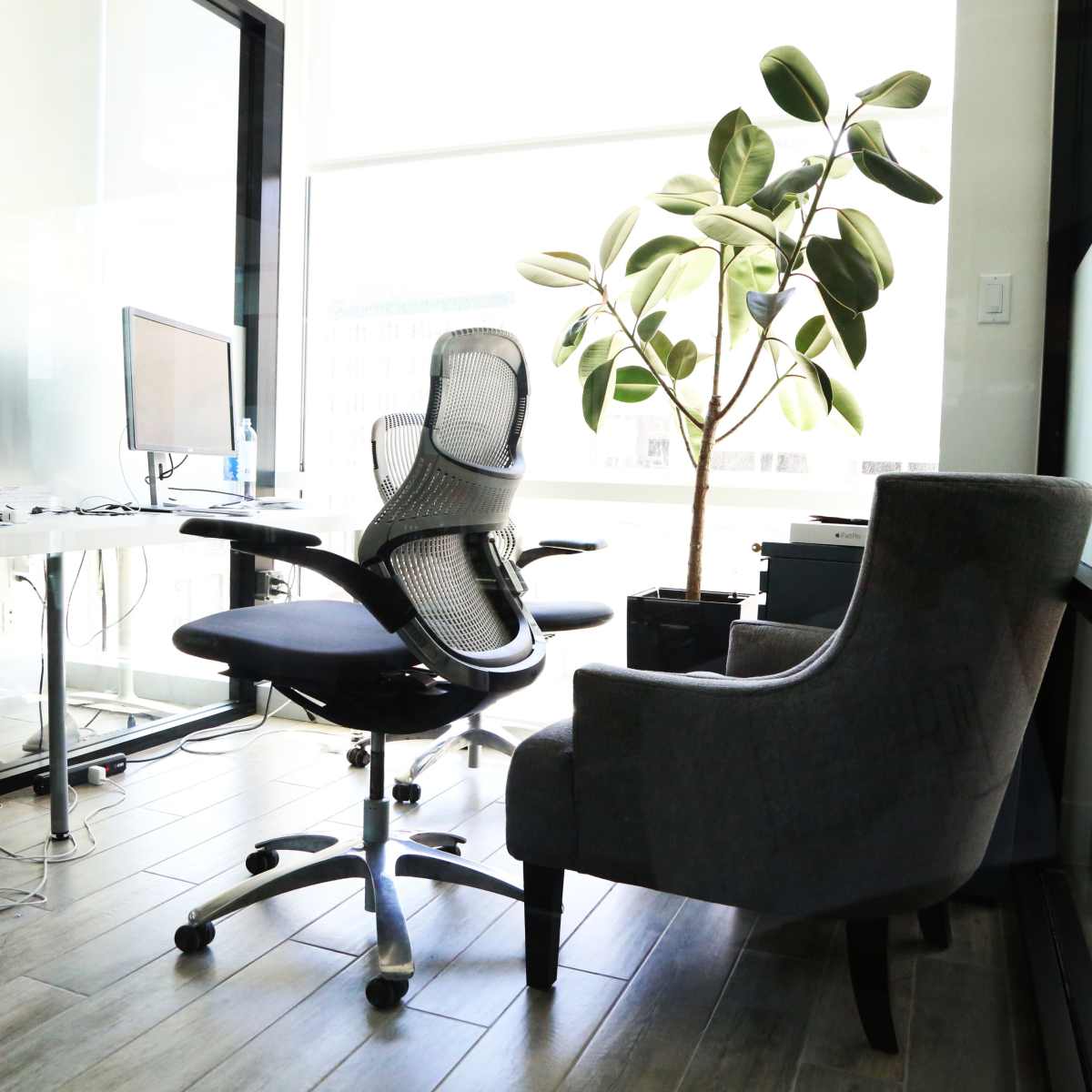 An office space features a desk with a computer, an ergonomic chair, and a lounge chair beside a potted plant.