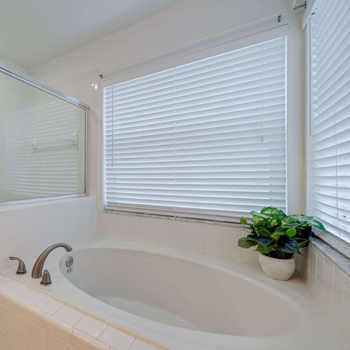 A bathroom with a glass shower enclosure, a bathtub, and window blinds, along with a potted plant on the countertop.