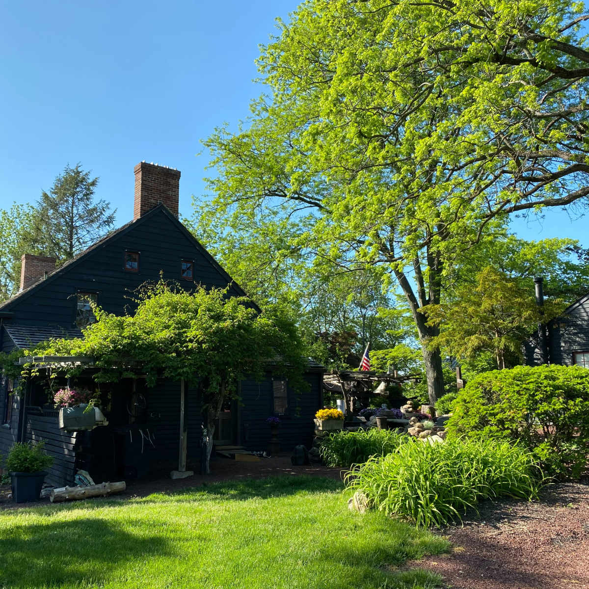 A dark wooden house with a chimney is surrounded by lush greenery and colorful flowers under a clear blue sky.