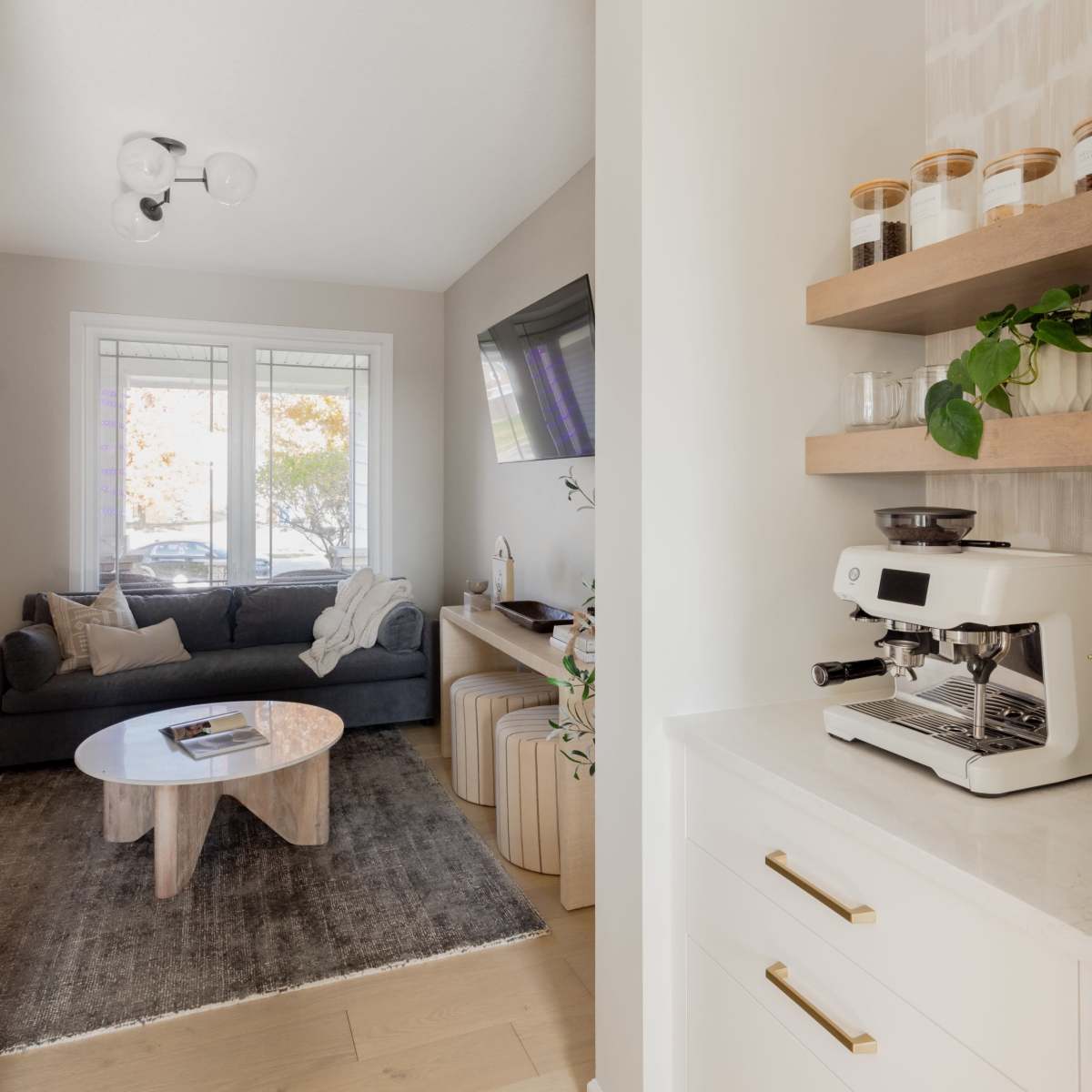 Suburbian Single Family Oasis in Rogers Image in Hassan Township, Rogers, MN