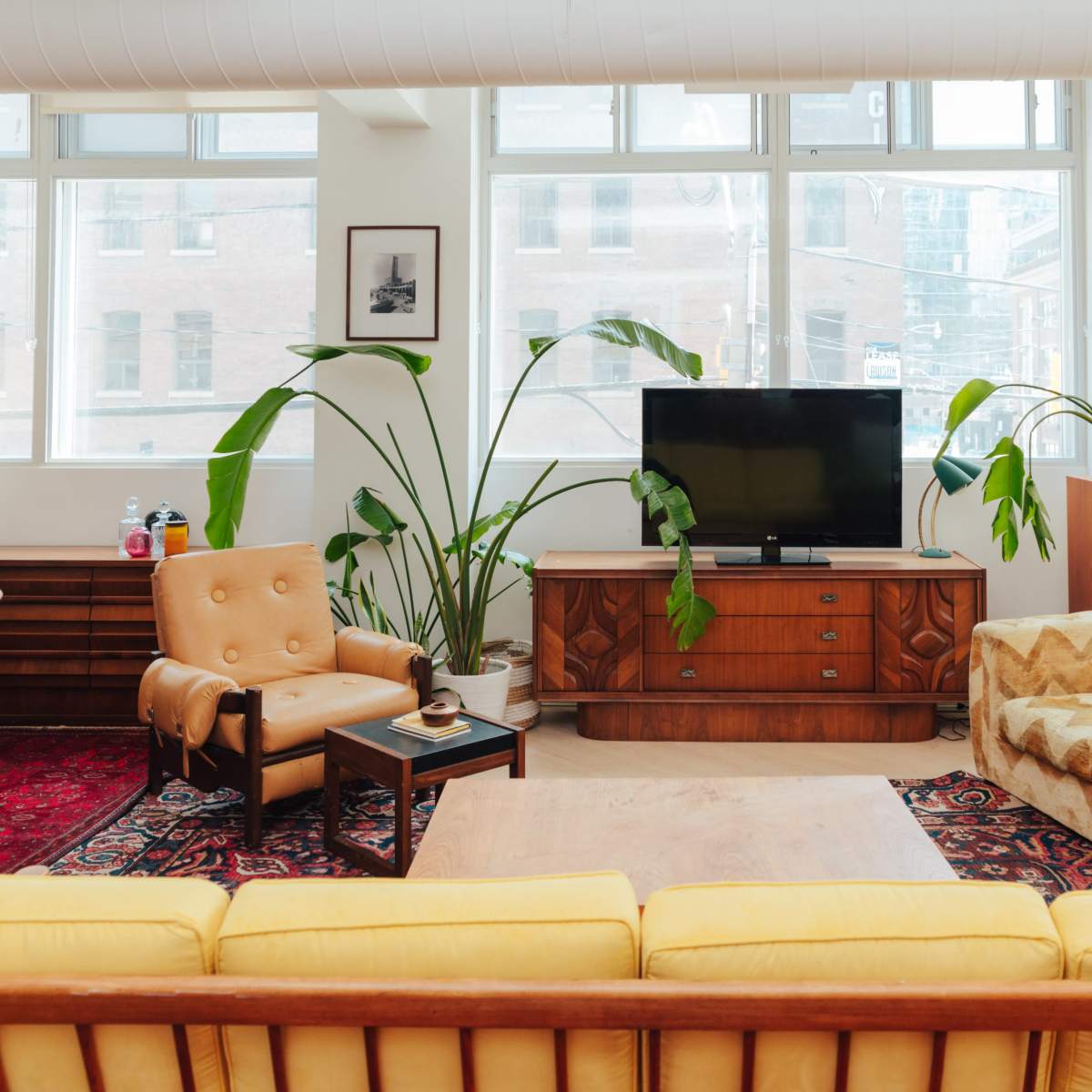 A well-lit living room features a large window, a television, various plants, and a mix of vintage furniture, including two armchairs and a yellow sofa.