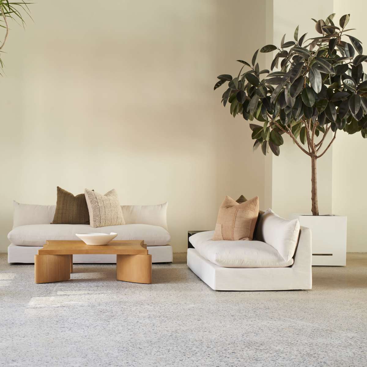 A modern living space featuring two sofas, a coffee table, and large potted plants against a light-colored wall.