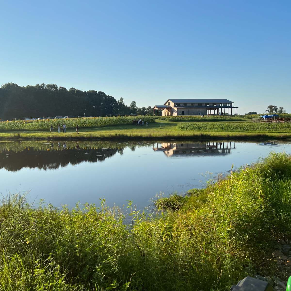 A building sits next to a calm pond surrounded by grass and trees, reflecting the structure and blue sky above.