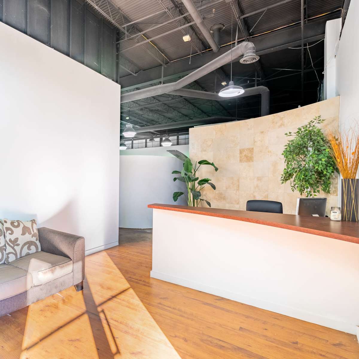 A bright reception area features a sofa, a large potted plant, and a desk against a light-colored wall.