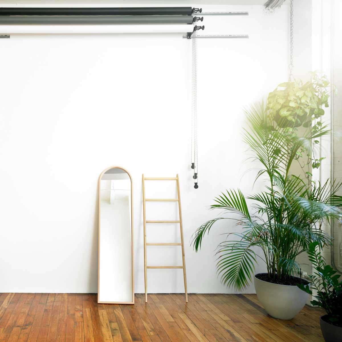 The scene features a minimalist interior with a wooden floor, a chair, a ladder, a mirror, and a potted plant against a white wall.