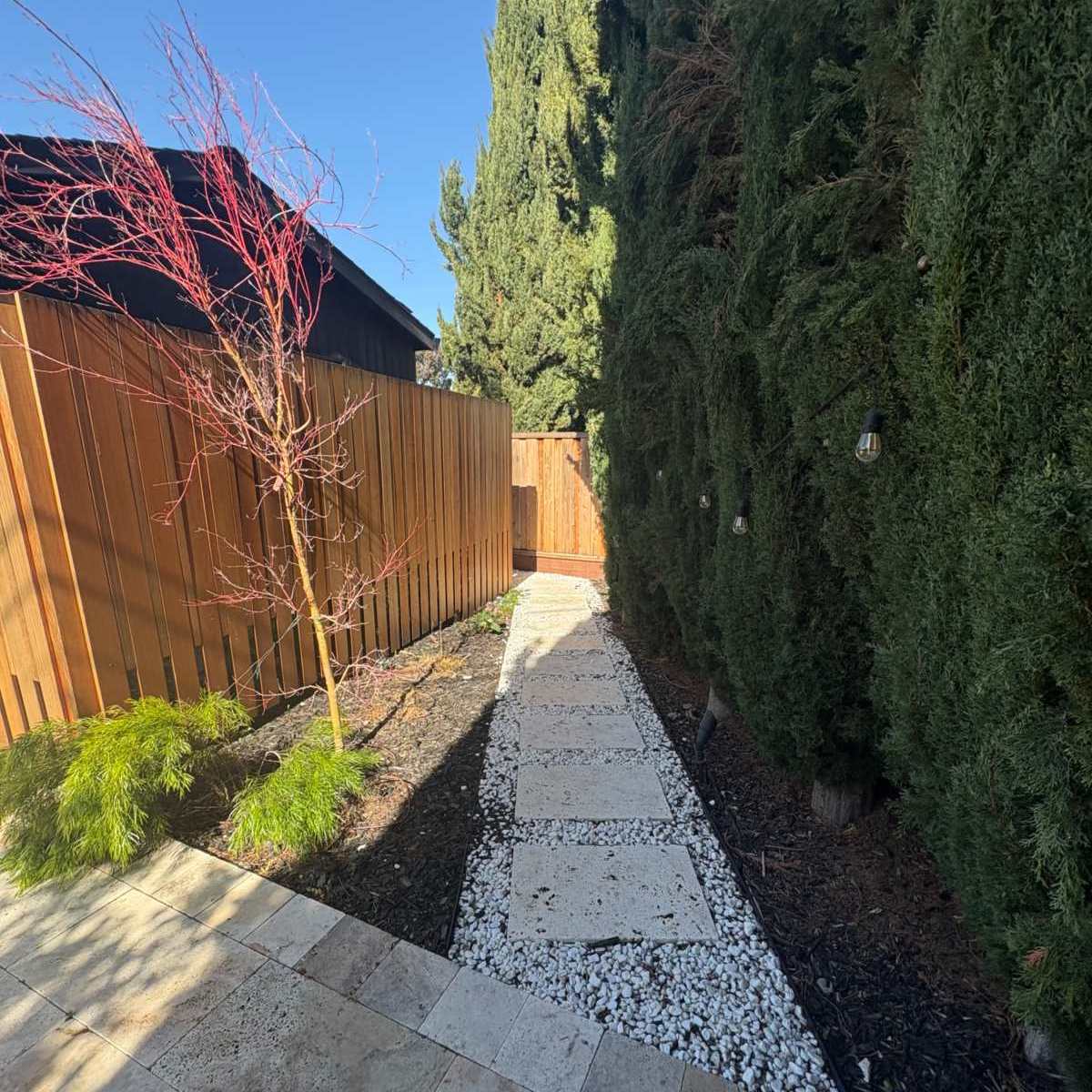 Mid Century Modern house with gorgeous backyard in Mountain View Image in Rex Manor, Mountain View, CA