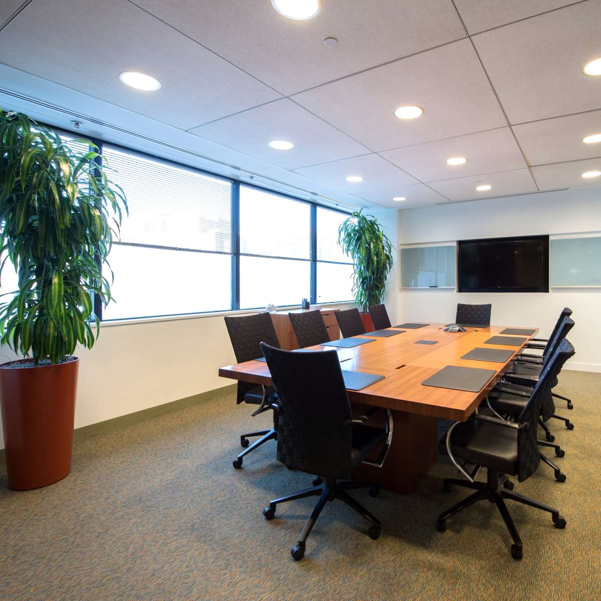 A modern conference room features a large wooden table surrounded by black chairs, with potted plants and wall-mounted screens visible.