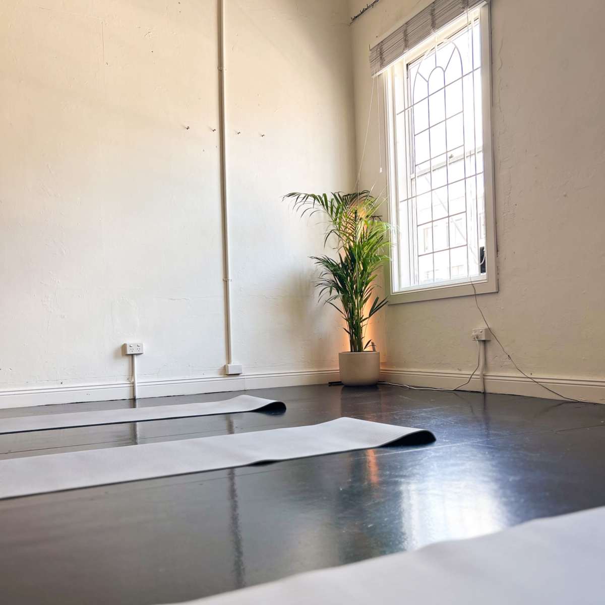 Versatile Creative Space for Hire – Ideal for Studios, Workshops, and More! in Annandale Image in Annandale, Annandale, NSW