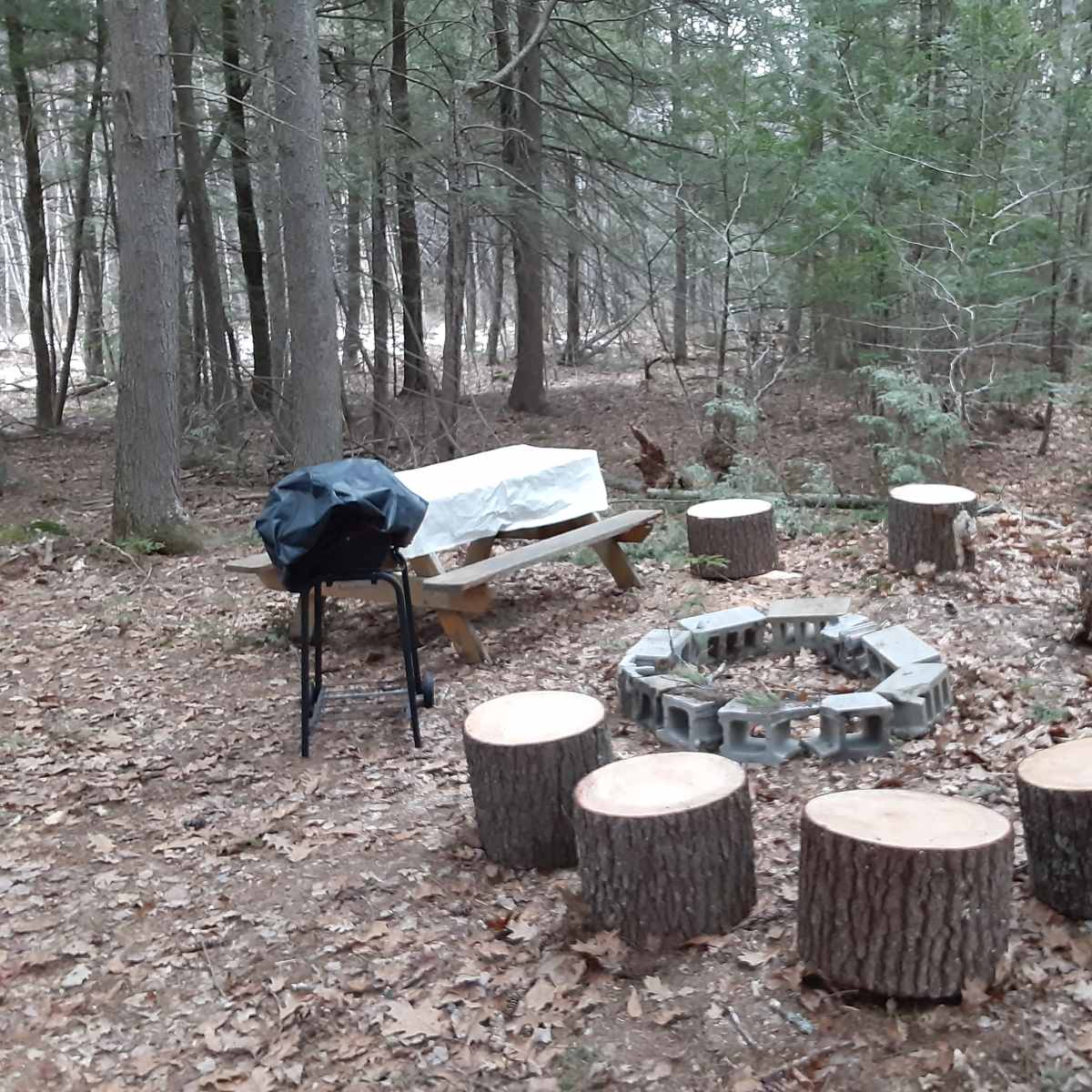 A campsite features a circular arrangement of log seats around a stone fire pit, with a picnic table and a covered grill nearby.