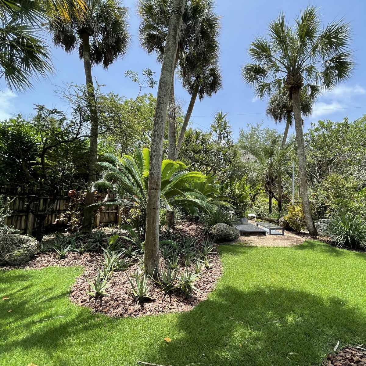 Tropical Lushly Landscaped Backyard, Palmetto Bay, FL | Event | Peerspace