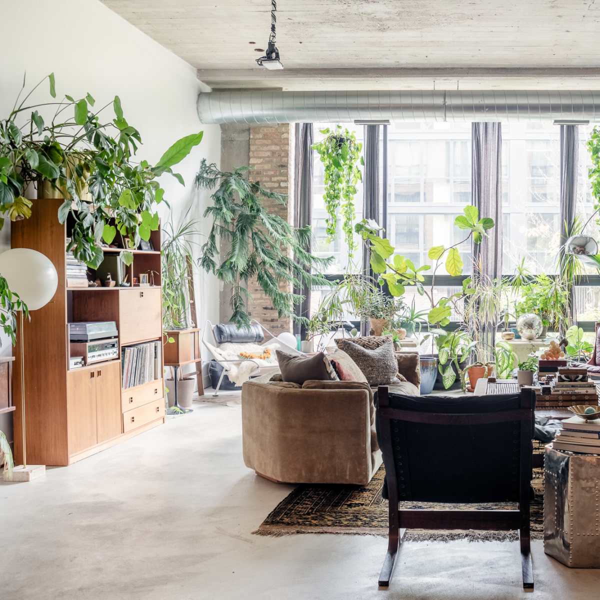 A spacious living room features large windows, a variety of potted plants, and comfortable seating arrangements around a central coffee table.