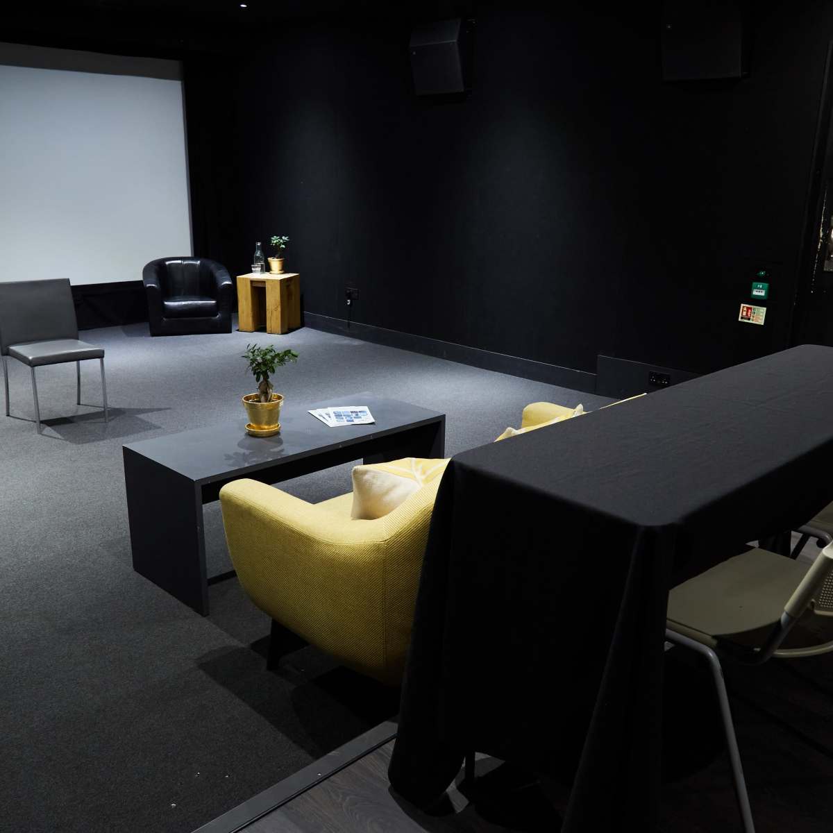 A small, dark room with a large screen, several chairs, a table covered with a black cloth, and a potted plant on a side table.