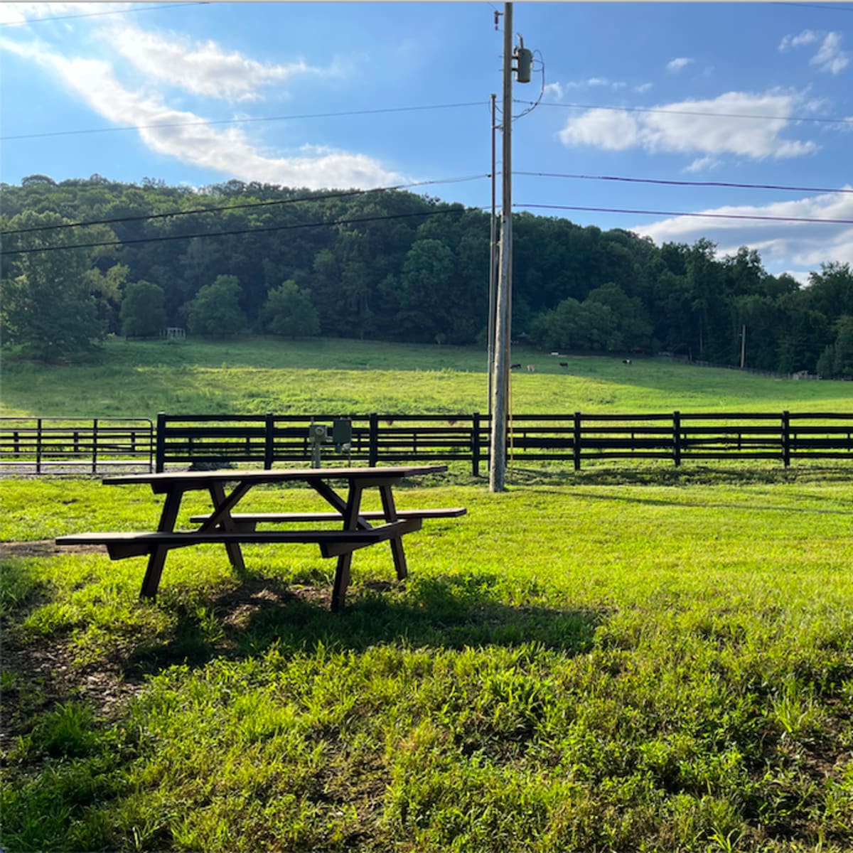 Private Campsite in Nashville - 15 min from Downtown in Nashville Image in Scottsboro, Nashville, TN